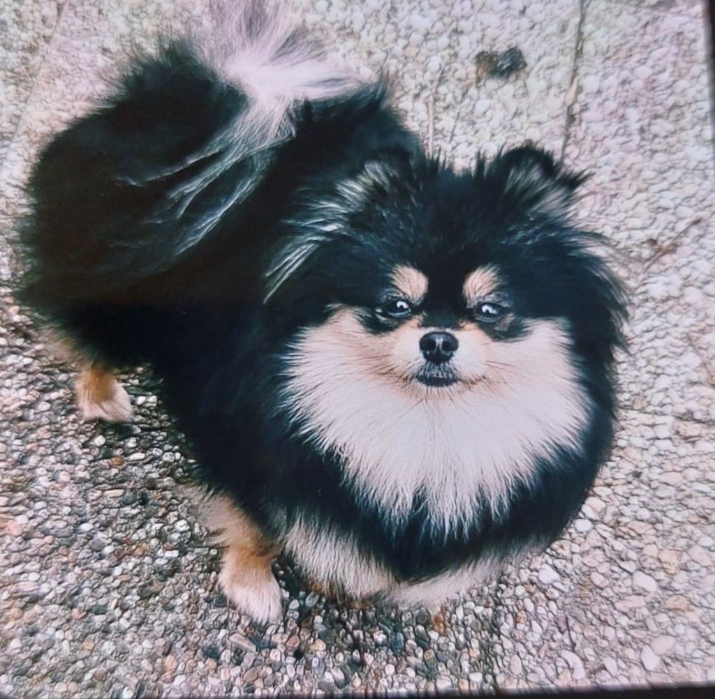 Florence du galop du globe