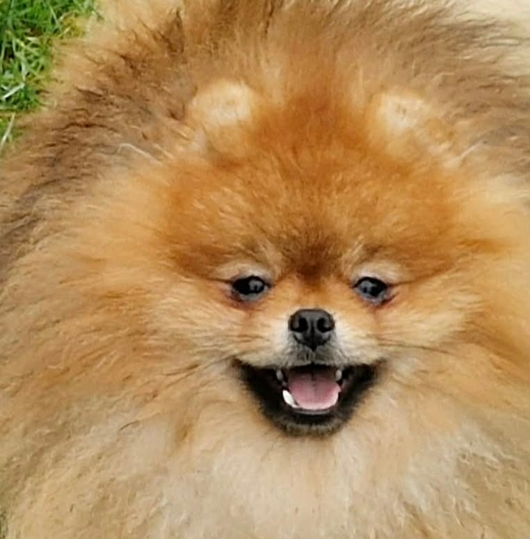 Photos de nos bébés dans leur famille